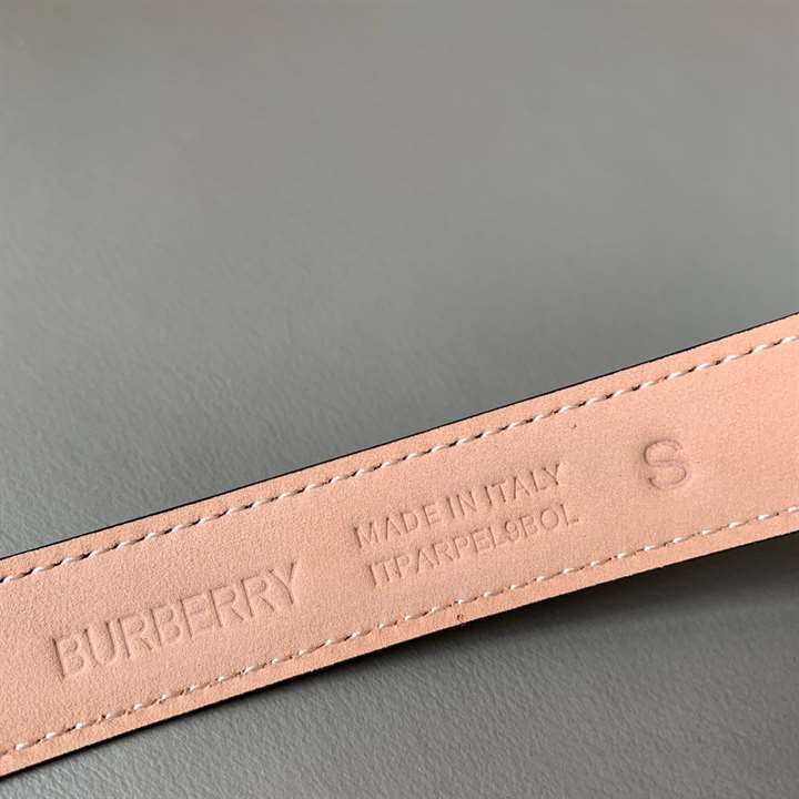 B**rry belt in brown - b34