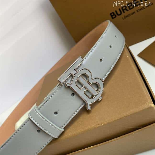 B**rry belt - b47